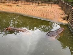 -海南热带野生动植物园
