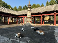 -四门塔风景区
