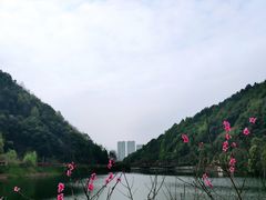 -桃花岭景区