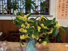 -八珍手工水饺·妈妈的爱(传芳巷店)