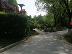 -渭滨公园