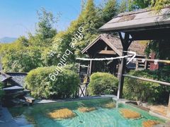 -崇阳三特浪口温泉