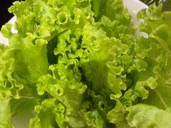 -醉董牛川派鲜肉自选火锅(烟台店)