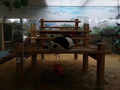 -西霞口神雕山野生动物世界