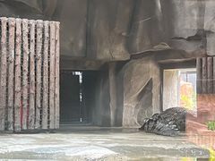 -武汉动物园