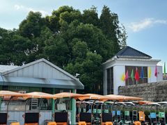 -宜兴龙背山森林公园