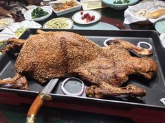 -九十九顶毡房(阜石路店)