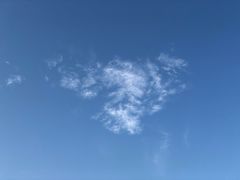 -胜华驾校·小猫学车(银都店)