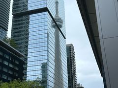 -加拿大国家电视塔