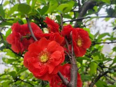 -成都南湖公园