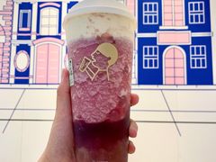多肉葡萄-喜茶(迪士尼小镇DP店)