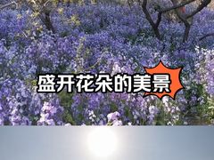-香山公园