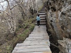 -白草畔自然风景区