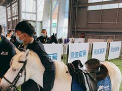 -成都世纪城新国际会展中心