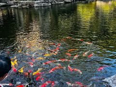 -青岛鑫江温德姆酒店