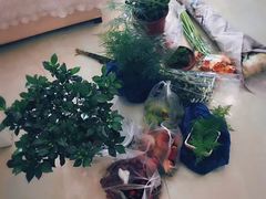 -白鹭湾湿地公园