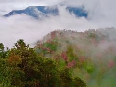 -无量山自然风景保护区