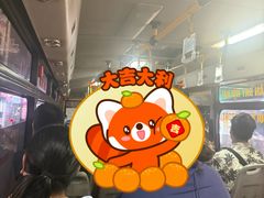 -河内内排国际机场