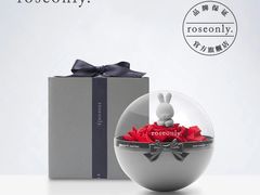 -ROSEONLY诺誓(沈阳万象城店)