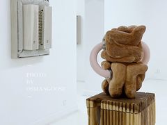 -胶囊画廊