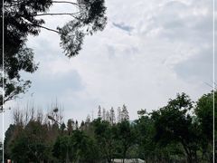 -云南民族村