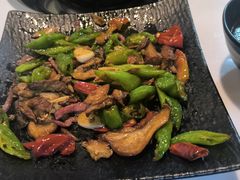 -蘑统田下·野生菌火锅