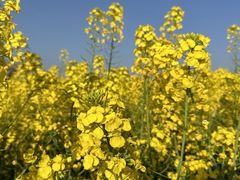 -中国天府农业博览园