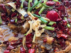 -老板恋上鱼(恒隆广场店)