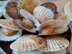 -京秀缘蒸汽海鲜农家菜大馅蒸饺