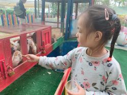 -萌宠亲子动物乐园(槐房万达店)