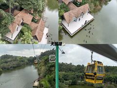 -广州长隆野生动物世界