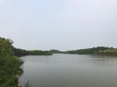 -塘沽森林公园