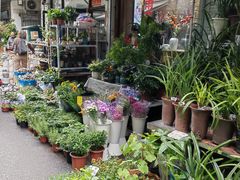 -苏州市皮市街花鸟工艺品市场
