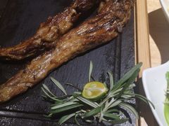 -蒙料·手把肉(望京店)