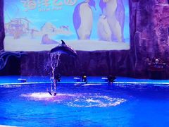 -华夏文旅海洋公园