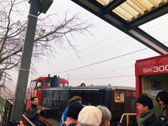 -岚山嵯峨野观光小火车
