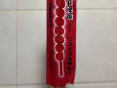 -和禄德冰糖葫芦