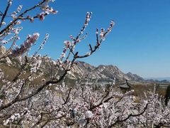 -北京凤凰岭