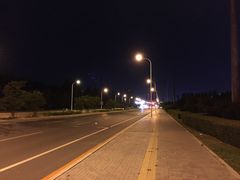 -鼎原力量东北吊炉烧烤(临河街店)