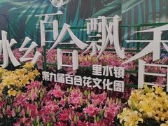 -万顷园艺世界