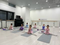 -星光舞蹈艺术中心•芭蕾舞•中国舞(太阳宫校区)