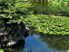 -东山风景区(洞庭东山)