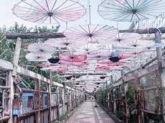 -呀路古热带植物园