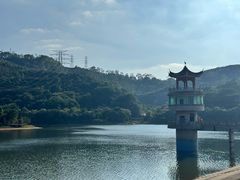 -水濂山森林公园