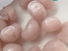 -章记正宗南岗鱼蛋火锅