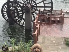 -重庆彩云湖湿地公园