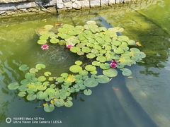 -春风习习