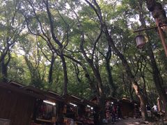-普陀山风景区-佛顶山