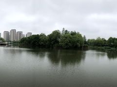 -新江湾城公园