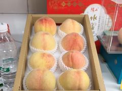 -老袁家蜜桃农场·阳山水蜜桃